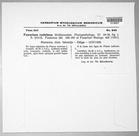 Image Associated With the Occurence